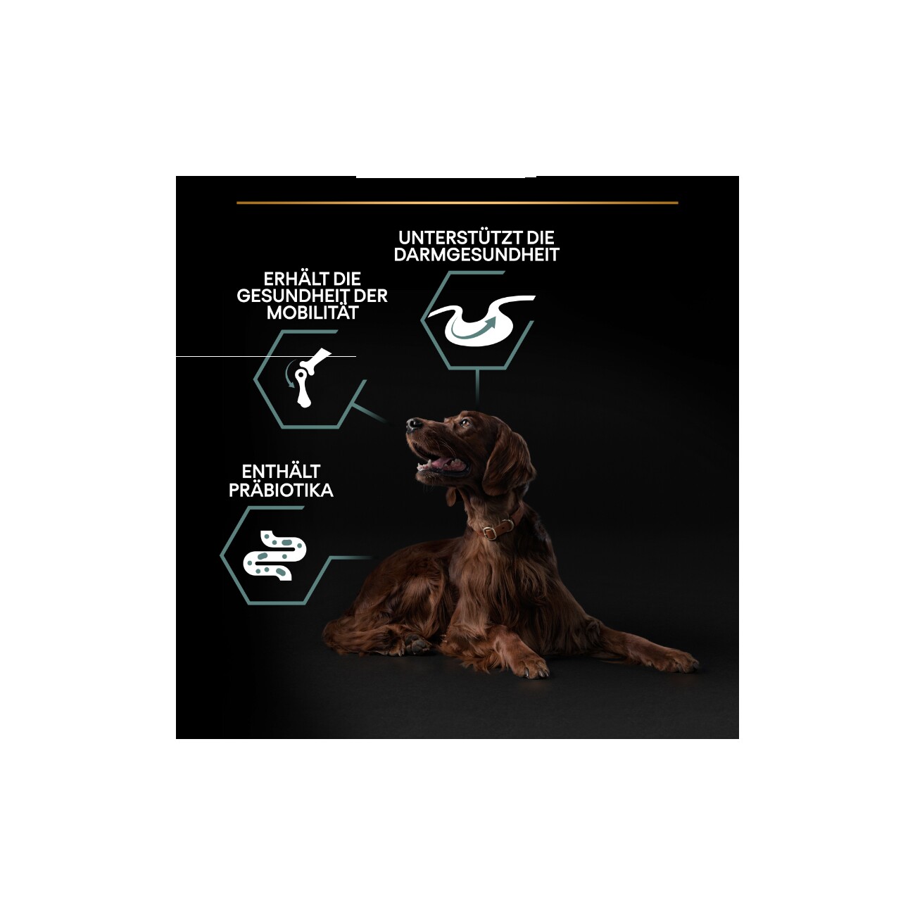 PRO PLAN Adult Large Athletic Sensitive Digestion 14kg