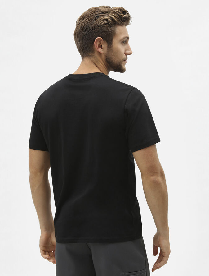 Dickies SS MAPLETON T-SHIRT BLACK Black