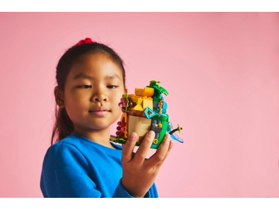 LEGO Vaiana's speeleiland (43260)