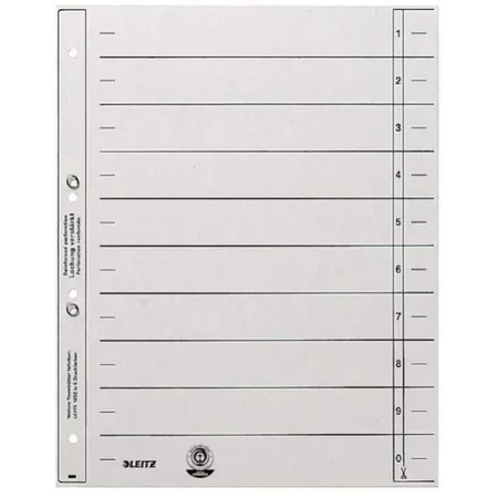 Leitz 16540085 Trennblatt
