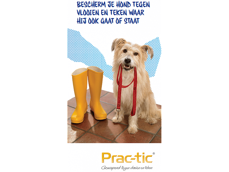 Prac-tic XS 2 tot 4.5 kg 3 pipetten
