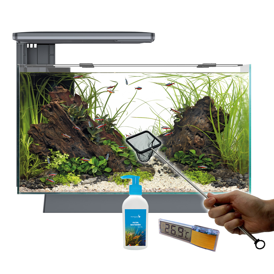 Superfish Quadro 40 Pro Zwart Voordeelbundel