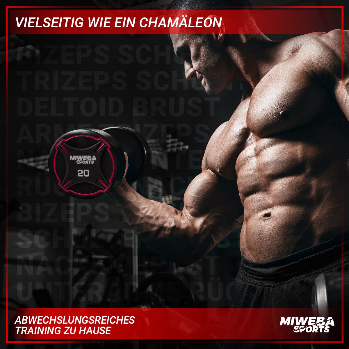 Miweba Sports Kurzhantel-Set RH100, Stahl-Hantelset, 2,5-25 kg, PEV-Ummantelung, bodenschonend (2x 2,5 Kg)