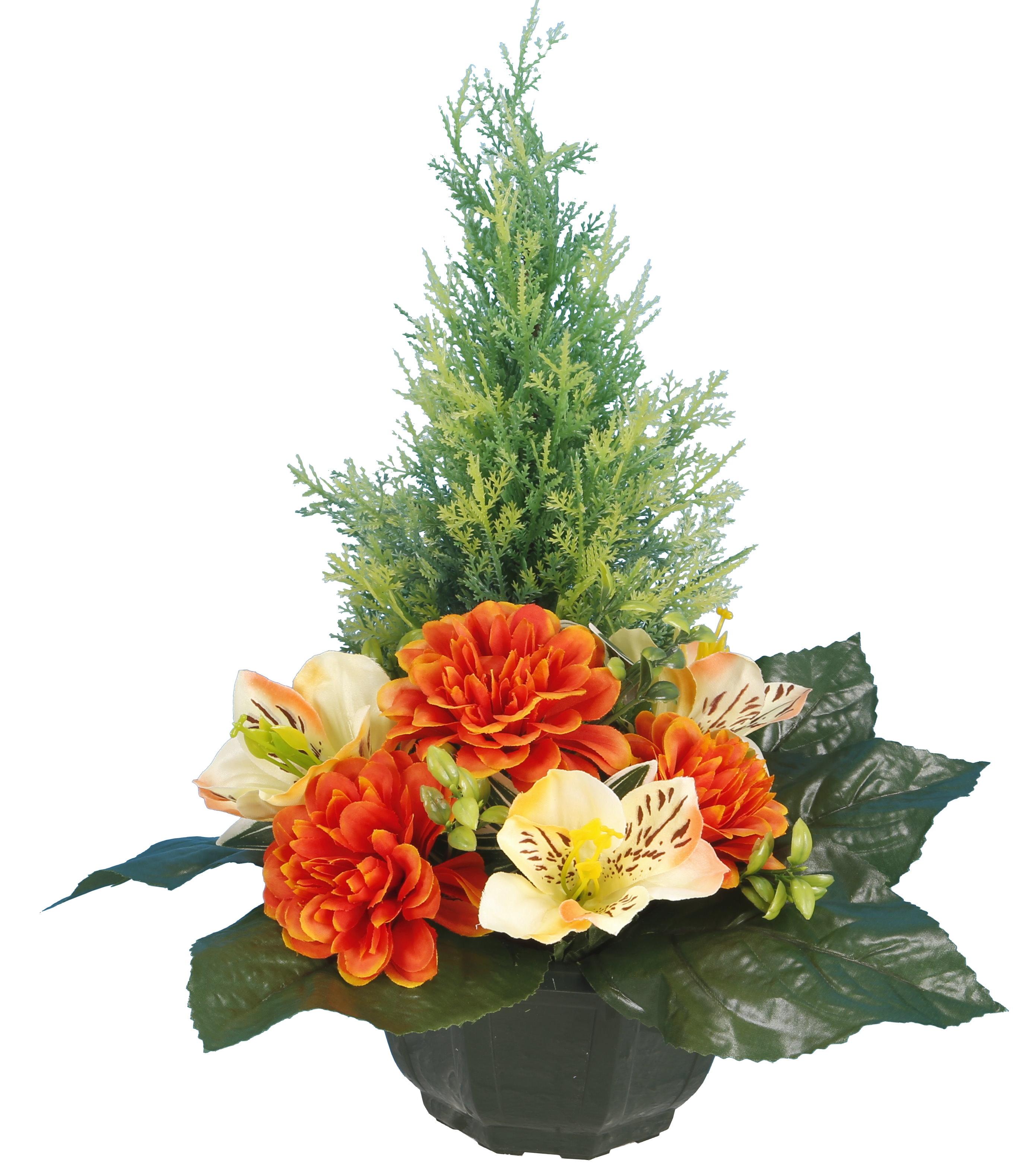 COUPE ZINNIAS ORCHIDEES TUYAS