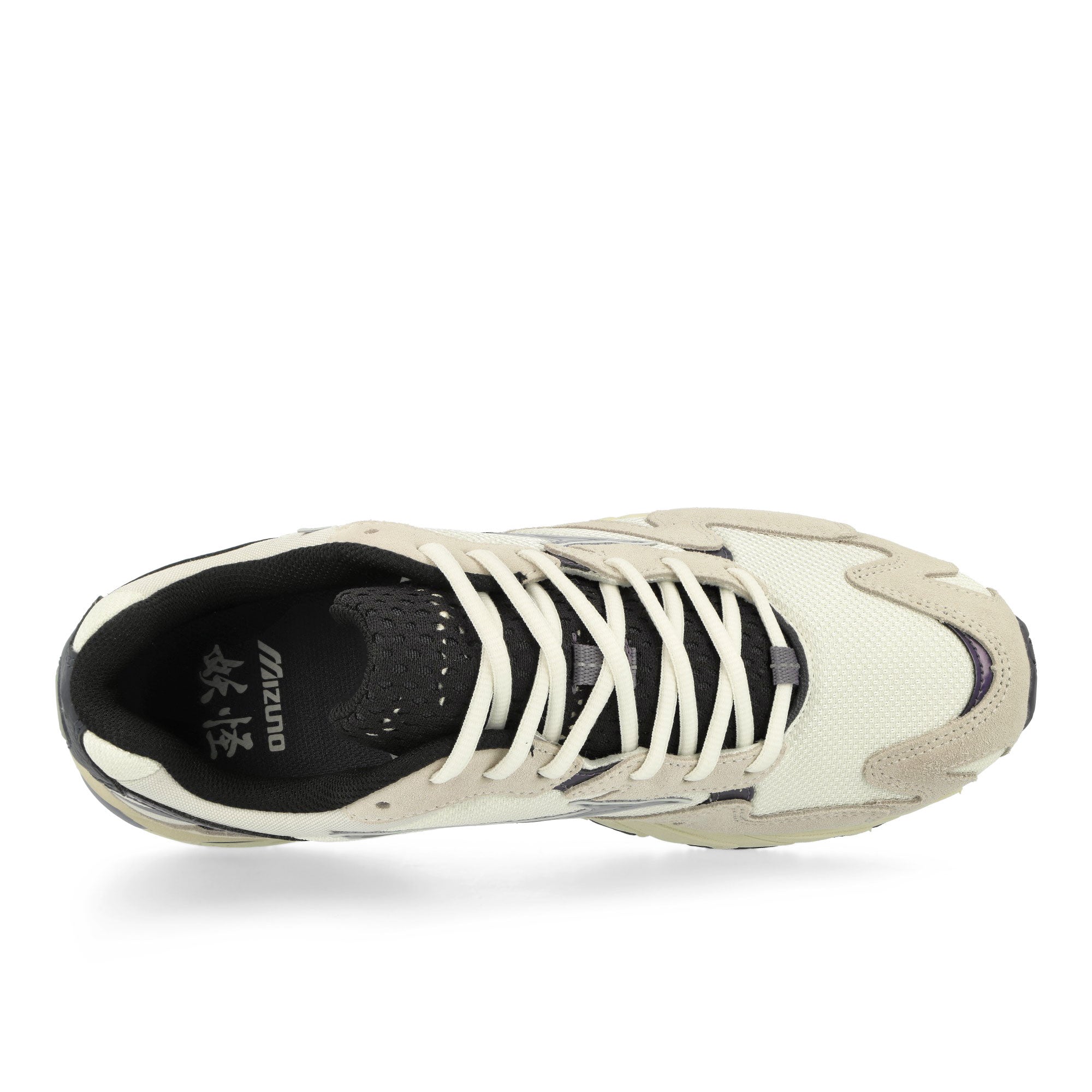 Mizuno<br>Wave Rider 10