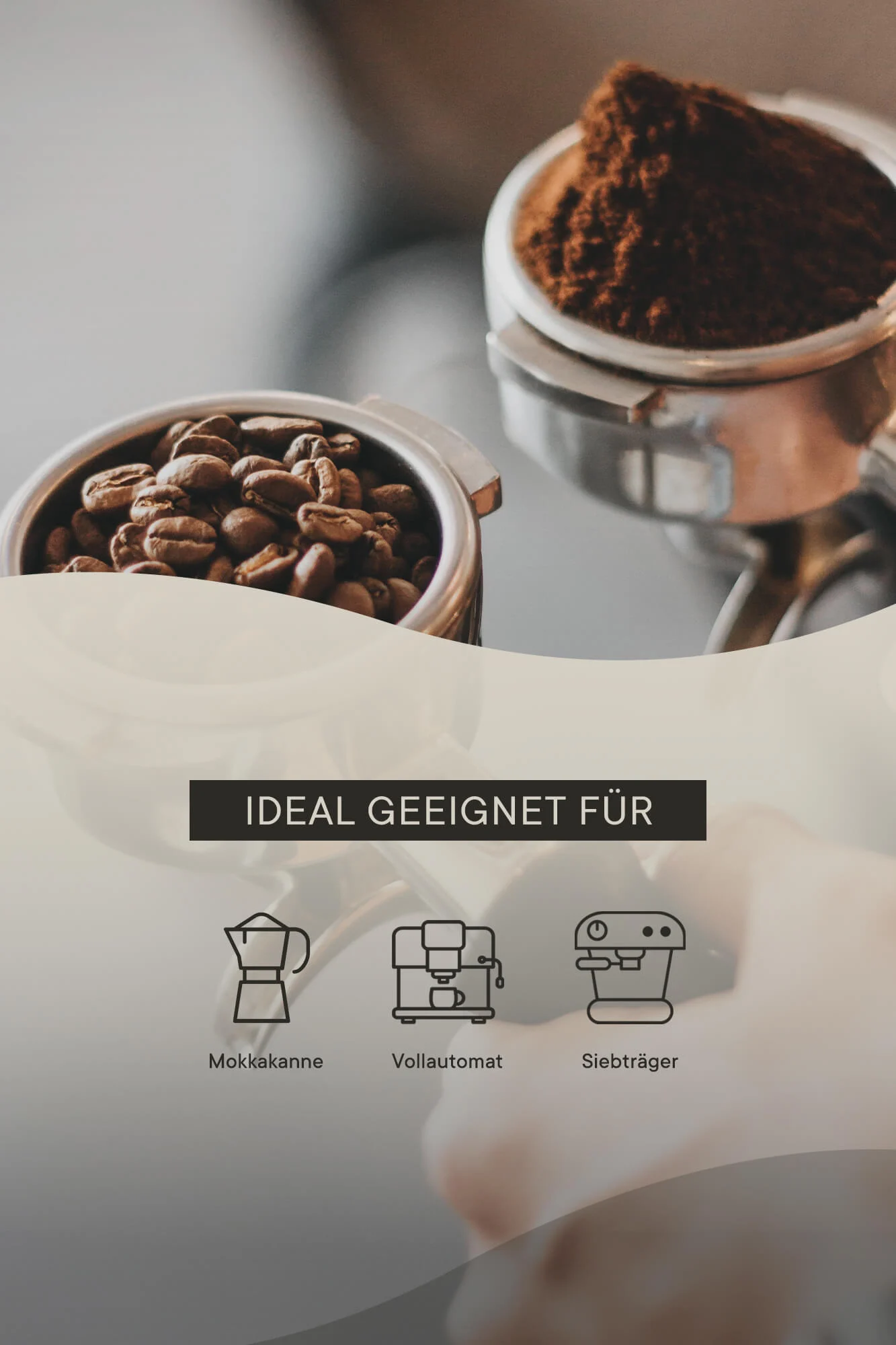 roastmarket Espresso Blend Vorteilspaket 6kg