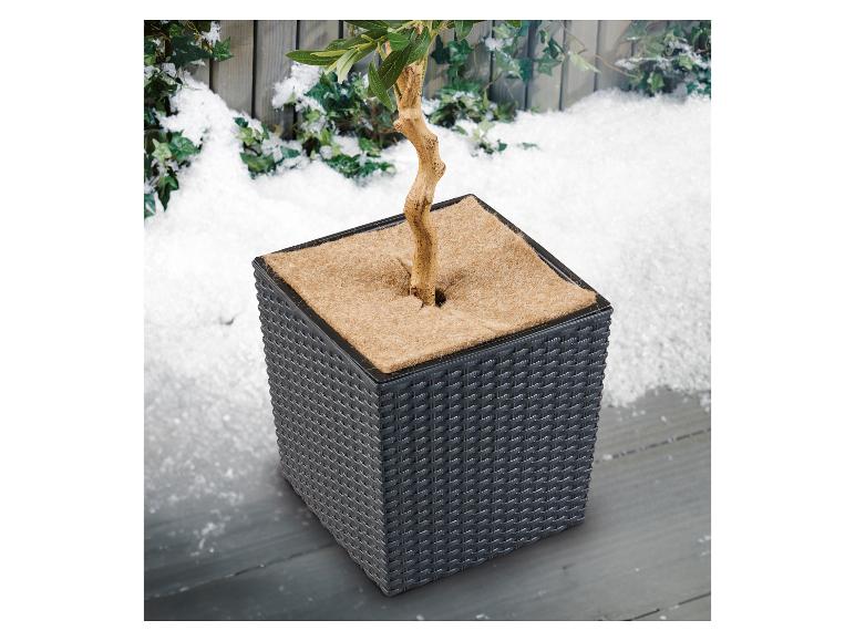 Vorstbescherming voor planten