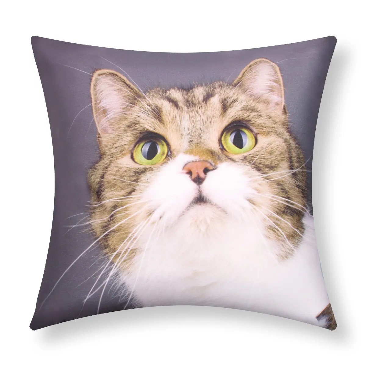 Lot de 2 housses de coussin AVIZAR - Motif Chat Moustache