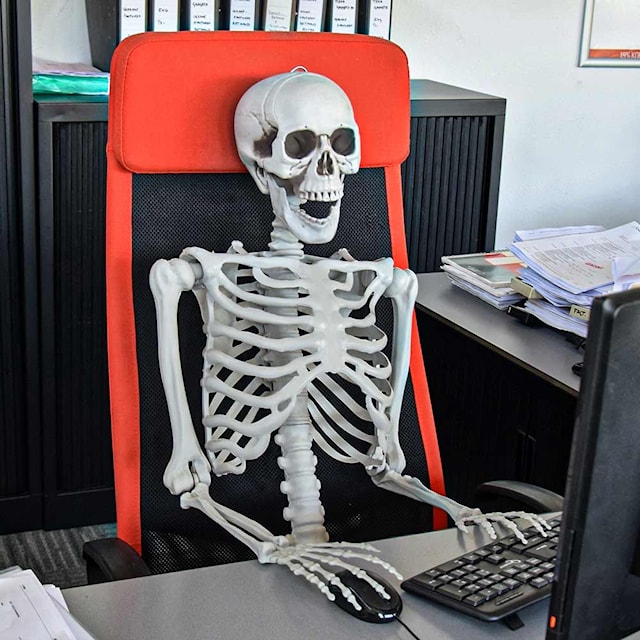 Human-size Skeleton 1.70m