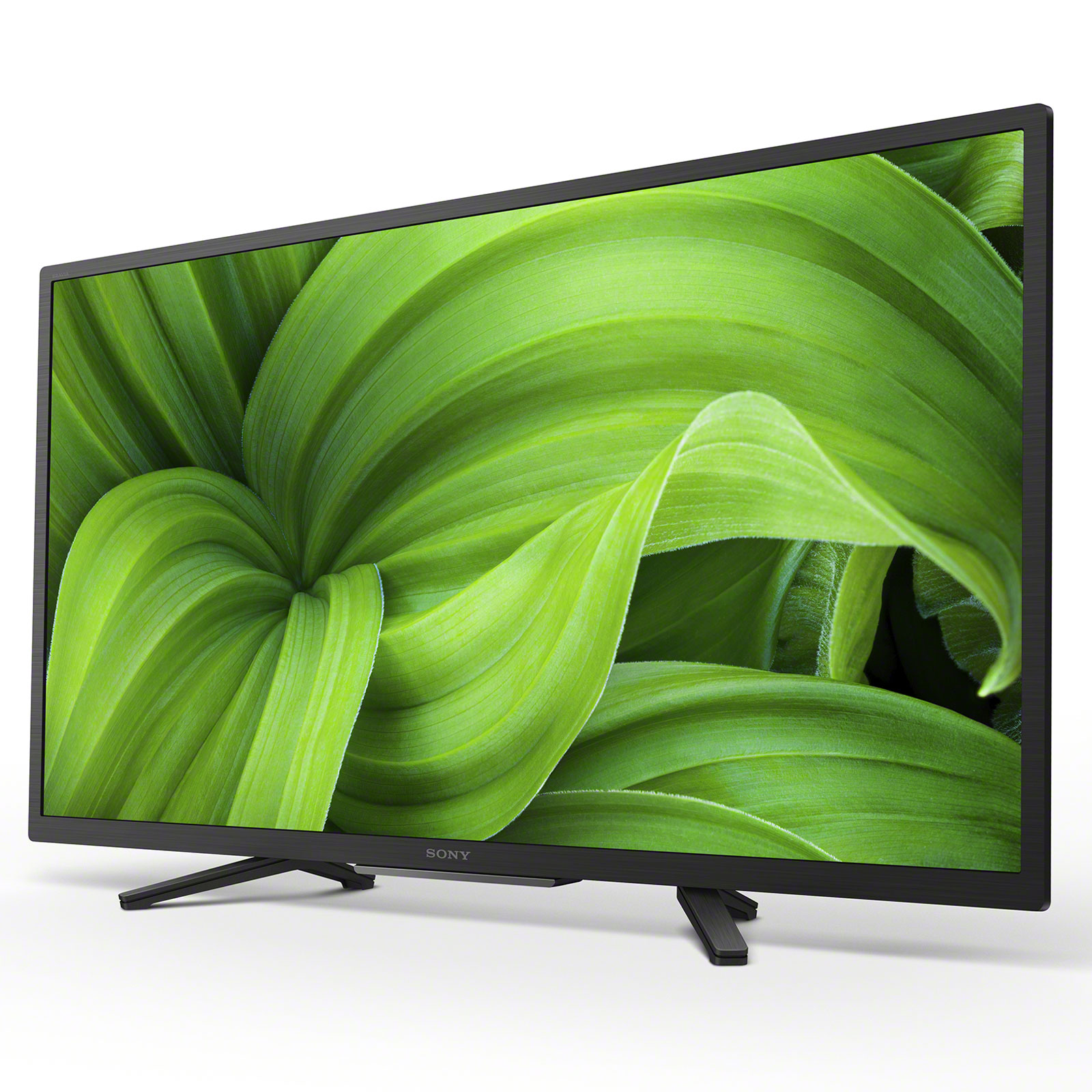 Sony KD-32W800P1
