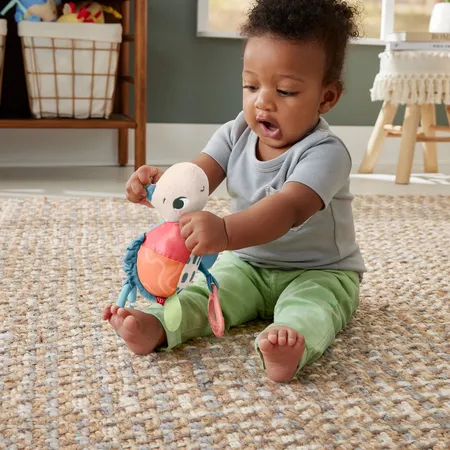 Fisher-Price Flotte Schildkröte