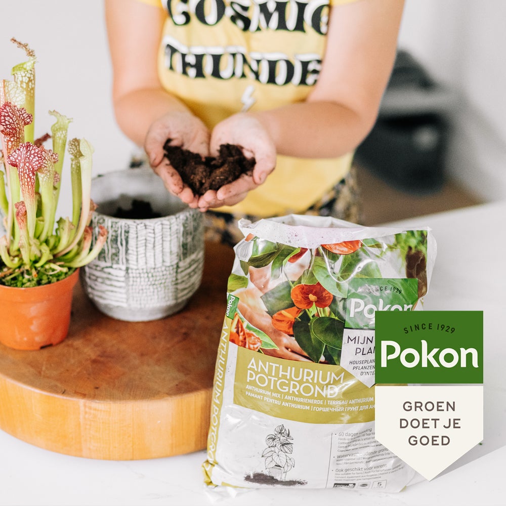 Pokon Anthurium potgrond 5 L