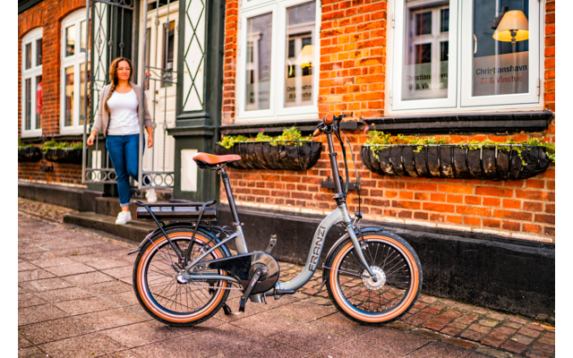 Blaupunkt Franzi faltbares E-Bike  20 Zoll 250W
