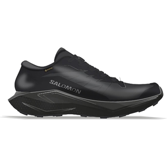 Salomon Alphaglide GTX Laufschuhe Black / Asphalt / Black Herren