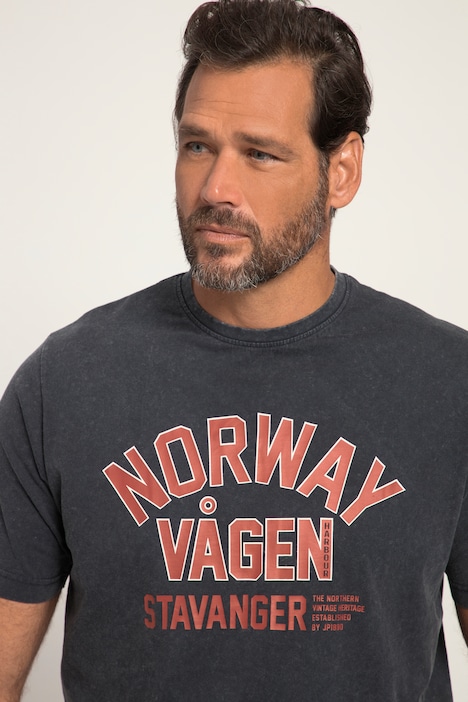 T-Shirt, Halbarm, Vintage Look, Print, Rundhals, bis 8 XL