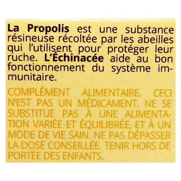 Spray Oral de Apiterapia Natural Propos com Própolis Verde Orgânica e Equinácea 15ml