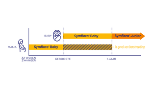 Vitakruid Symflora Baby 30ST