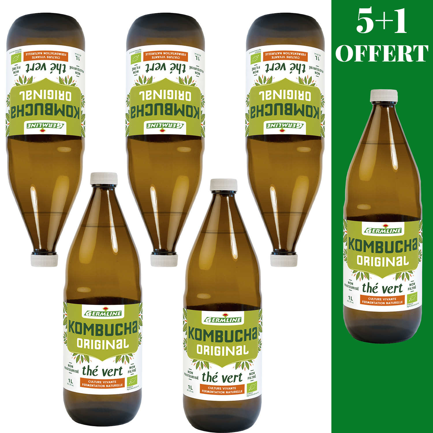 Kombucha, boisson lactofermentée bio - 5 + 1 offert
