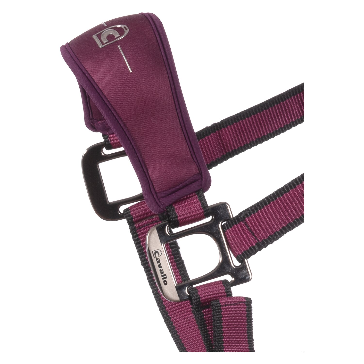 Cavallo Halfter CAVAL SOFTSHELL HEAD COLLAR  - dusty violet