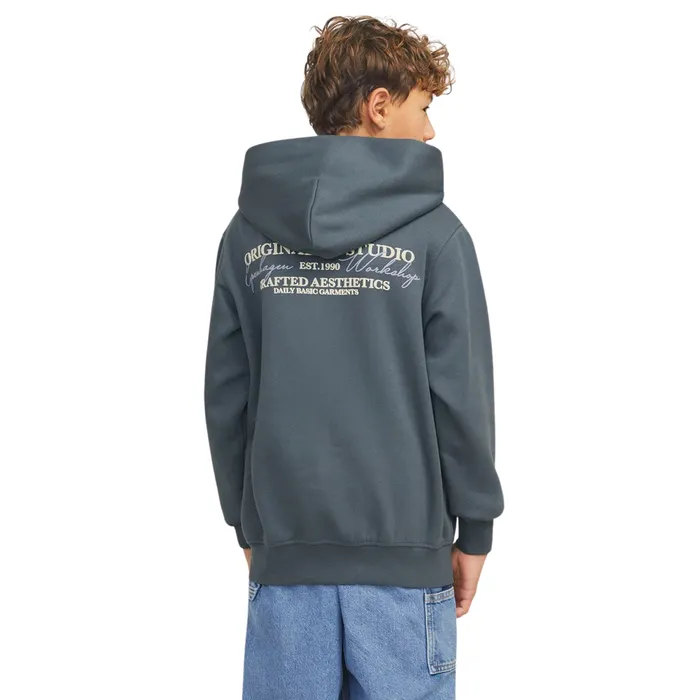 Jack & Jones Joris Lington Hoodie Junior