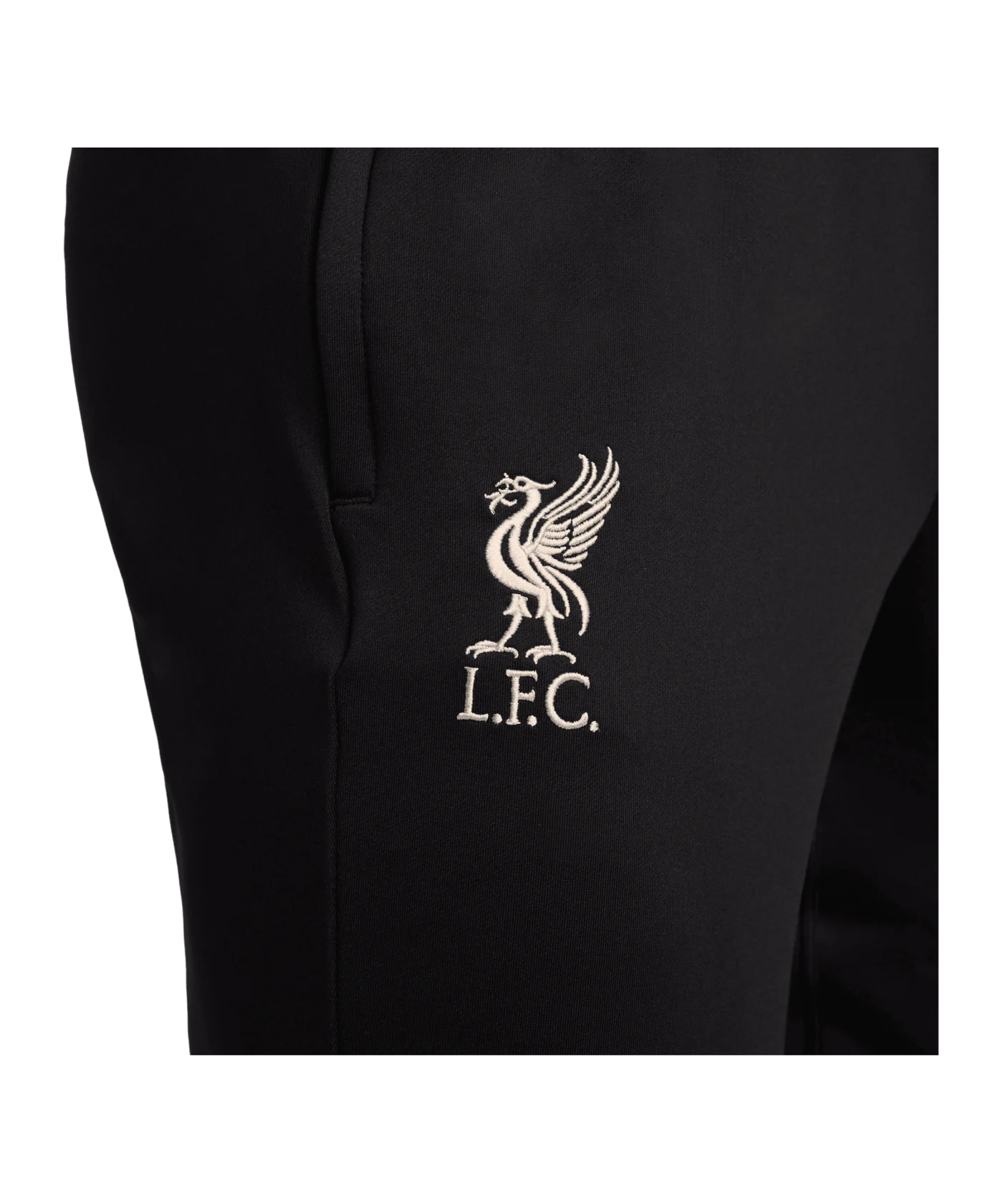 Nike FC Liverpool Trainingshose Schwarz F010