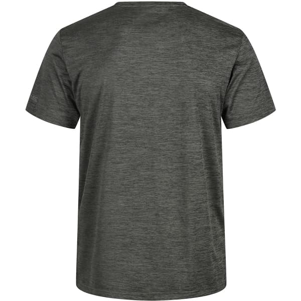 T-shirt randonnée REGATTA FINGAL EDITION AGAVE GREEN
