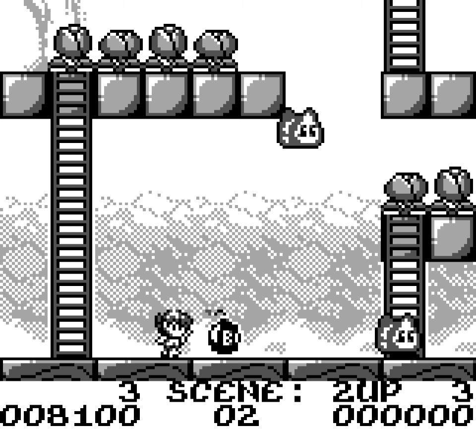 Rod Land (Collectors Edition)- Nintendo Entertainment System