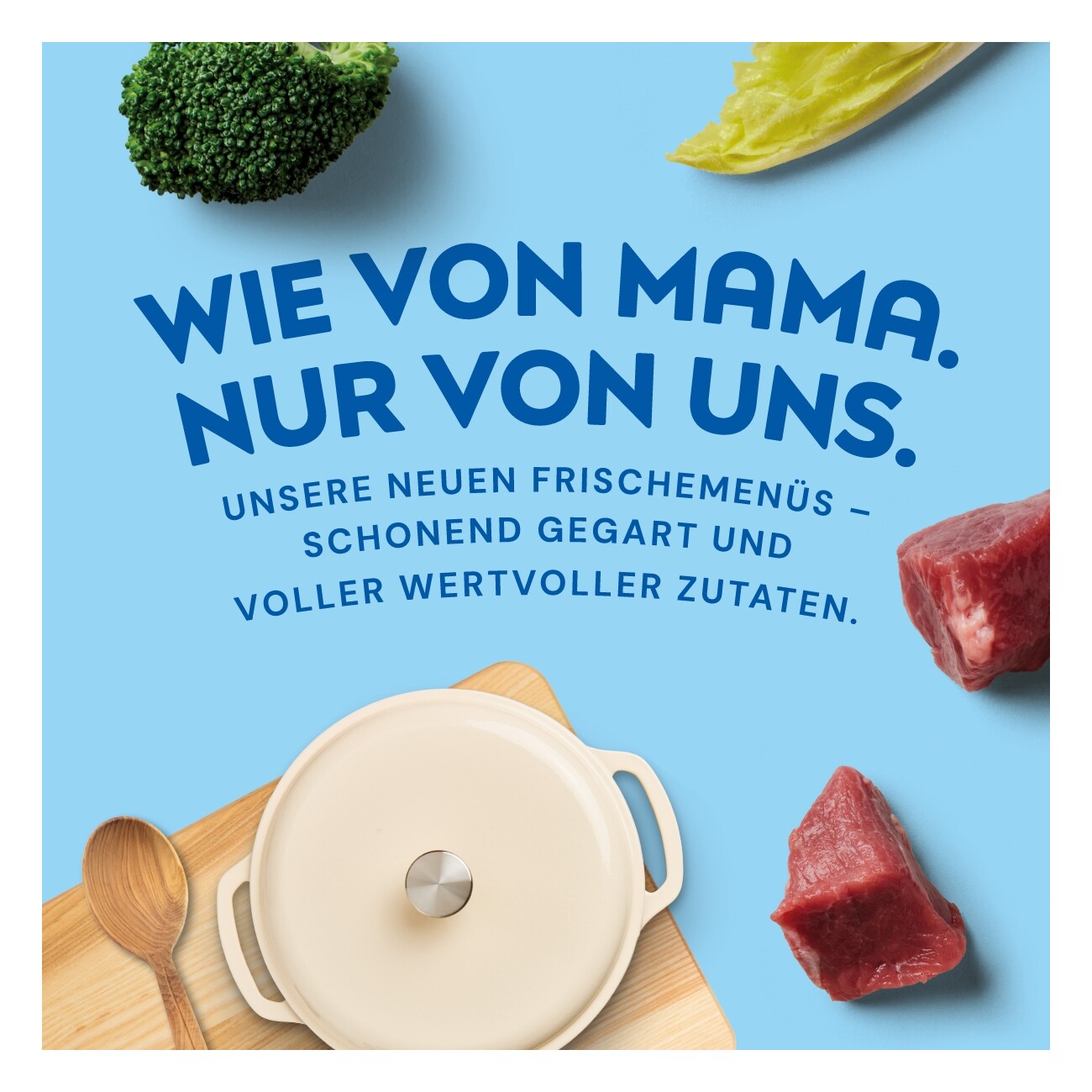 Nutriment Frischemenü Lachs, Kürbis & Zucchini 20x400 g