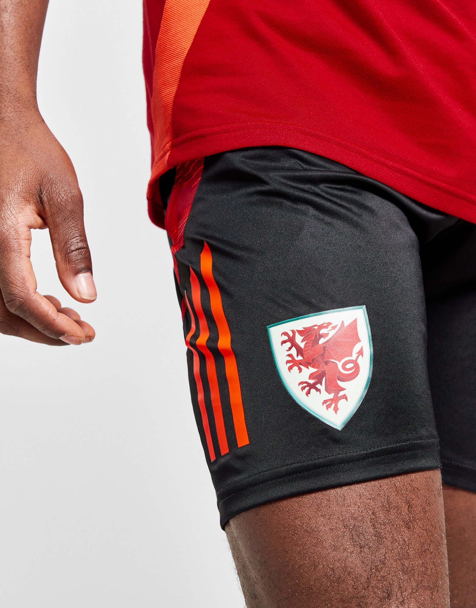 adidas Short d'entraînement Pays de Galles Tiro 24 Homme