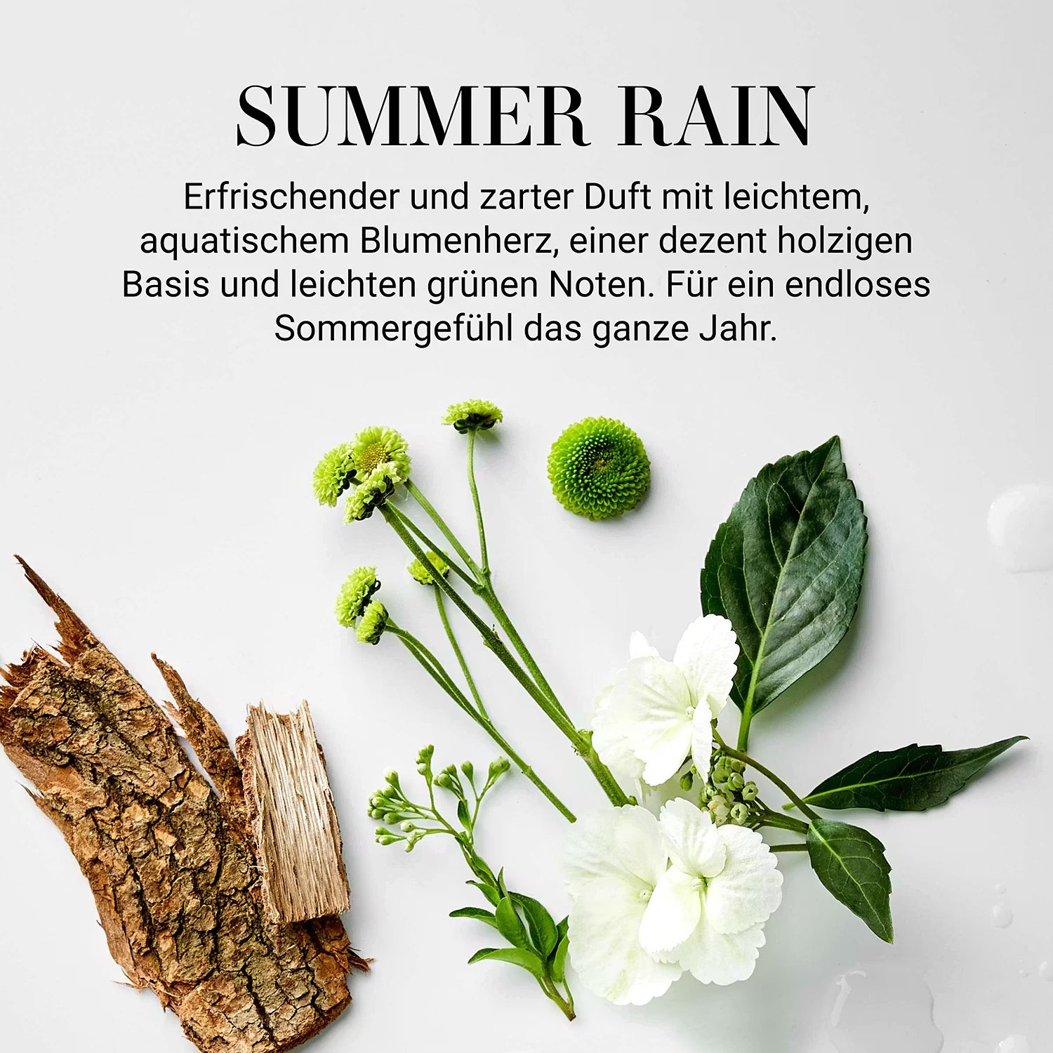 ESSENCE Duftöl Summer Rain 6er-Set