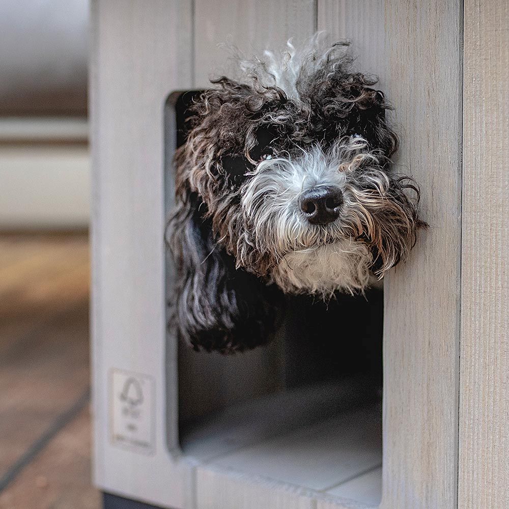 Niche pour extérieur, maison pour chiens argo 50 en bois fsc avec vernis atoxique, résistant aux u.v.
