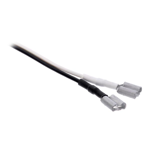 EMG Output Cable 15.5