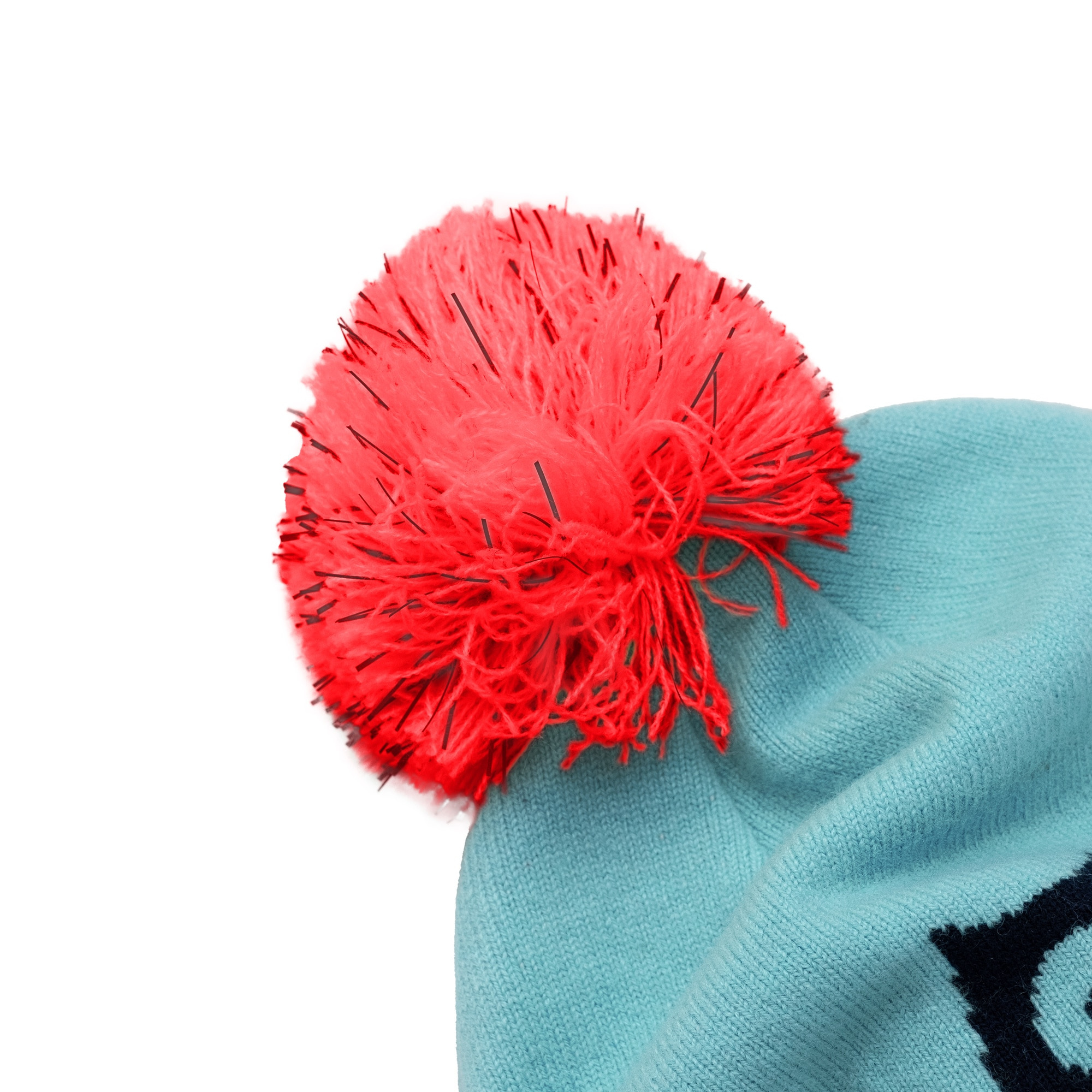 Logo Beanie