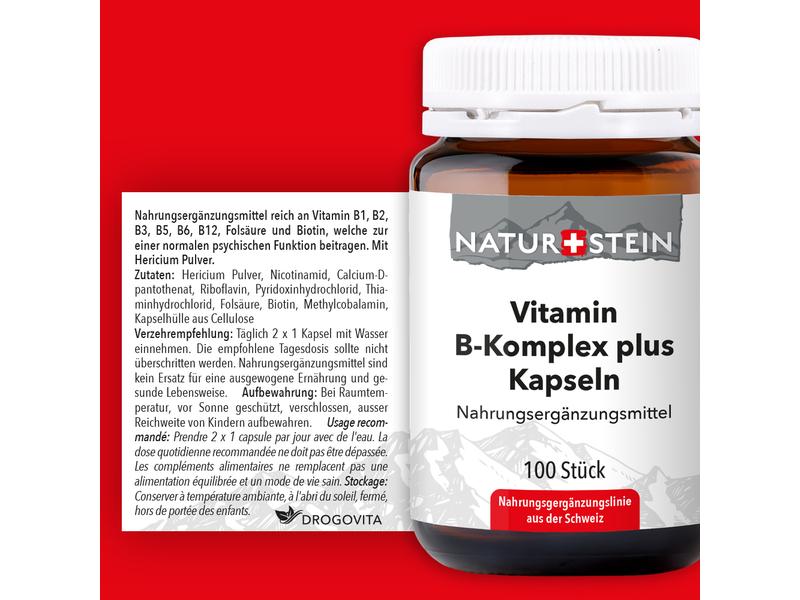 Naturstein Vitamin B Komplex plus 100 Kapseln Nahrungsergänzung mit B-Vitaminen und Hericium