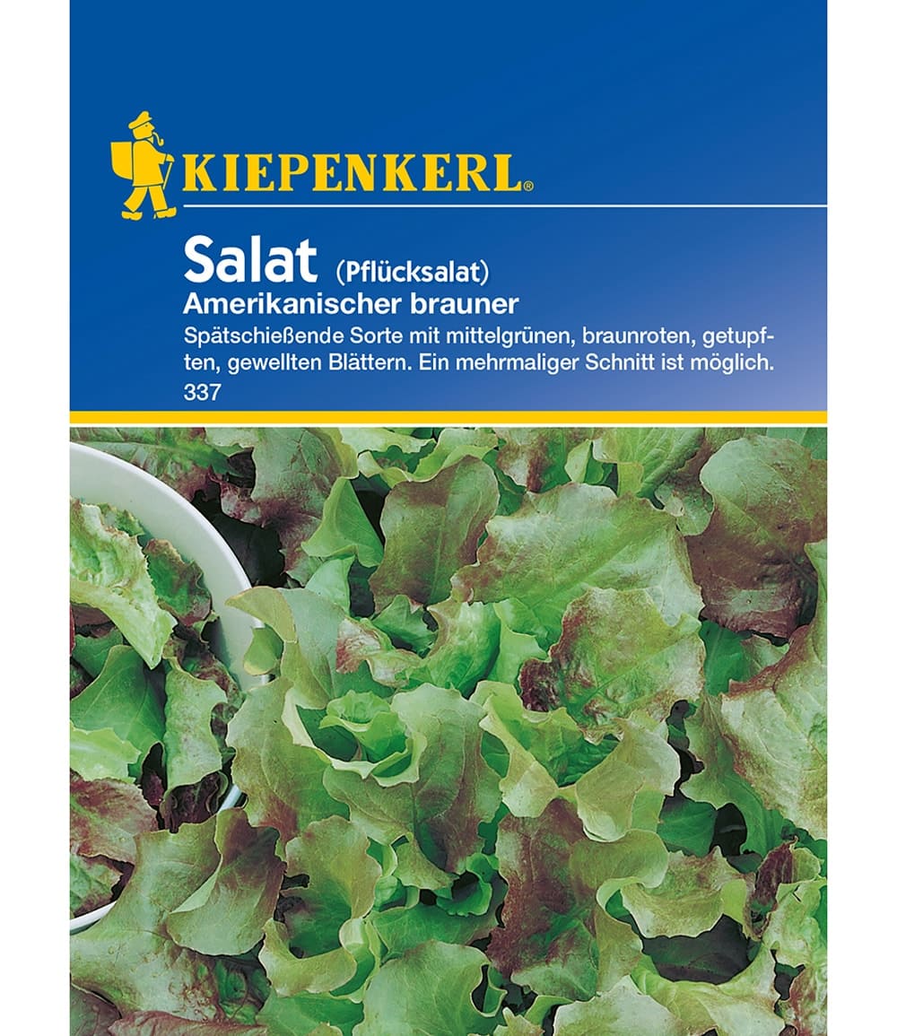 Pflücksalat 'Amerikanischer brauner'