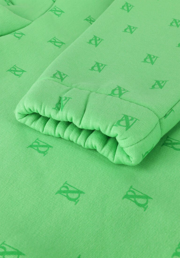 NIK & NIK groene nik & nik sweater brody hoodie