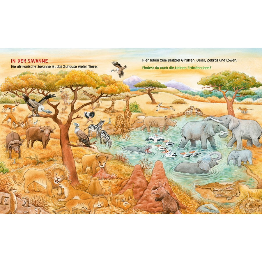 CARLSEN Unkaputtbar: Mein erstes Wimmelbuch: Unsere Tiere