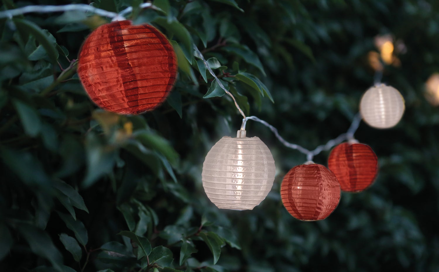 LED solar lampion wit / roze / bordeaux D 8 cm 10 stuks