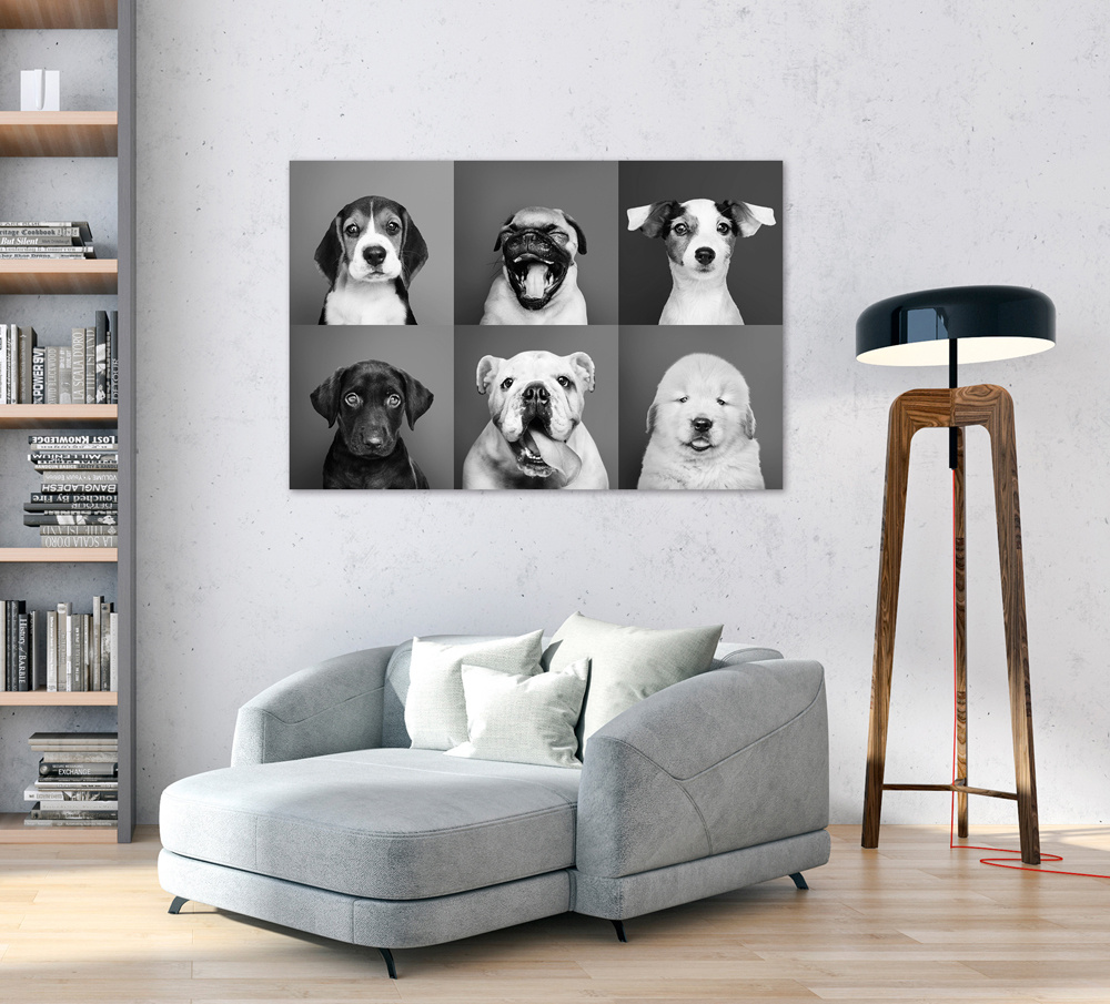 Akustikbild LUSTIGE HUNDE 80x120cm, 7kg