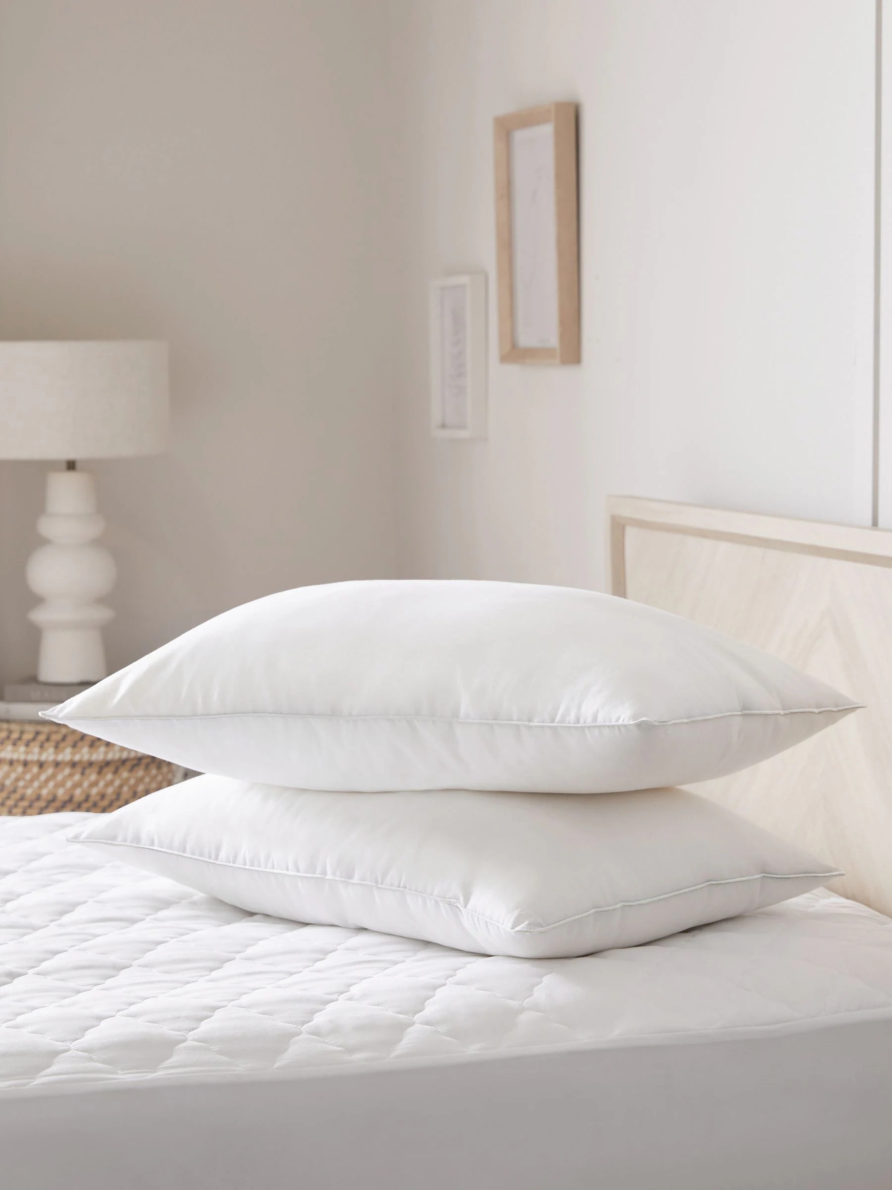 Set van 2 Sleep In Silk kussens van 100% katoen