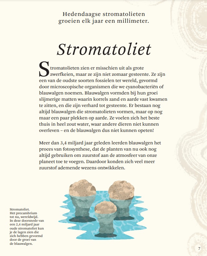 Het dikke boek van alle bijzondere Dino's
