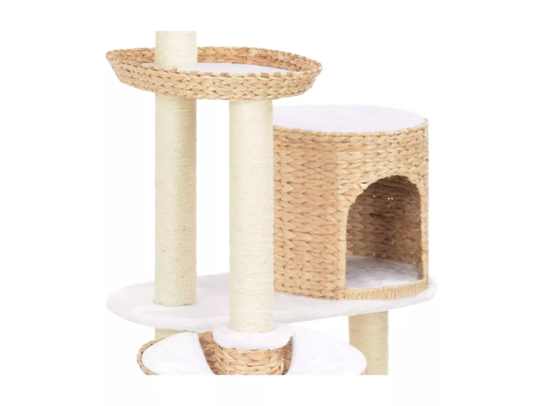 Arbre à chat avec griffoirs en sisal Herbiers marins