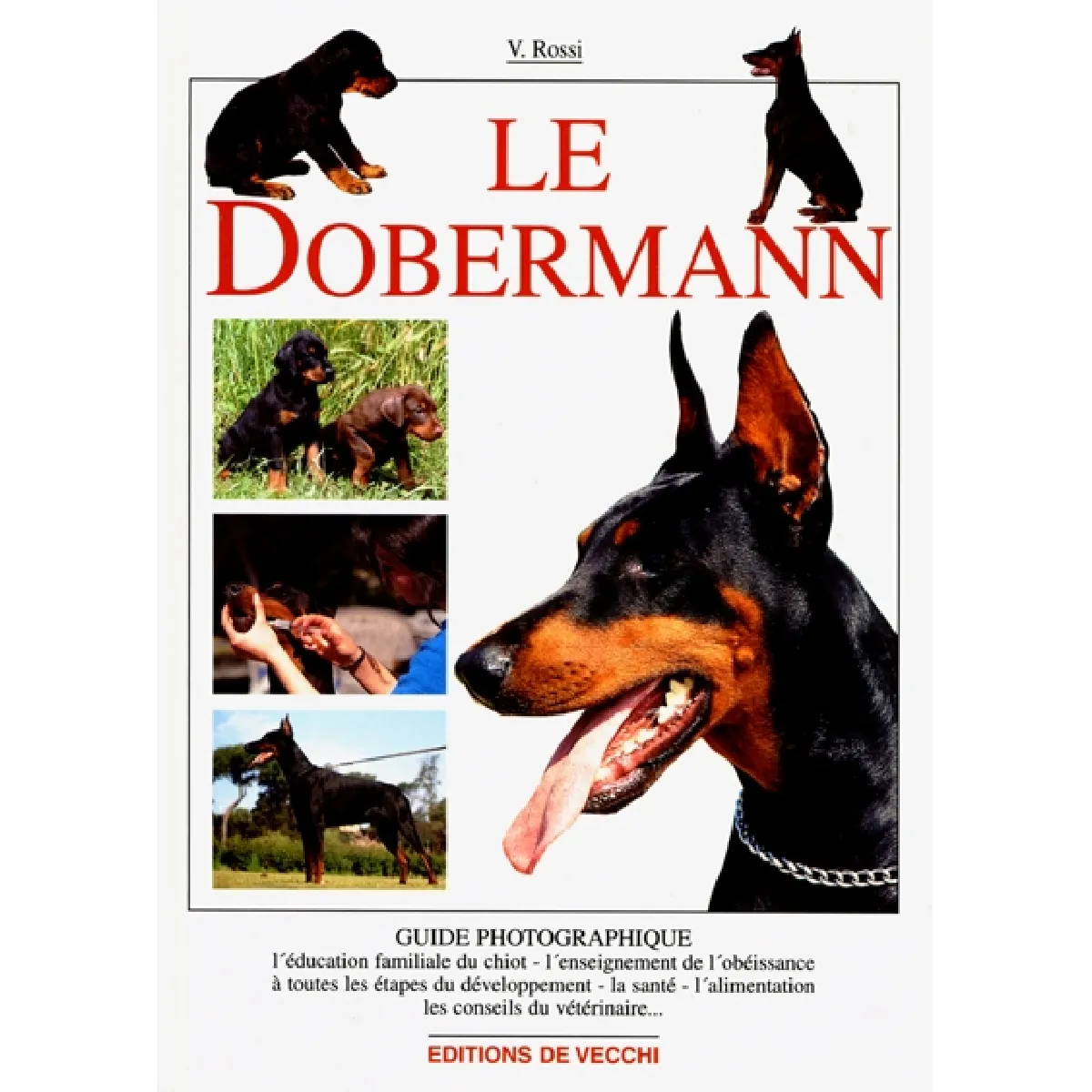 Le dobermann · Occasion
