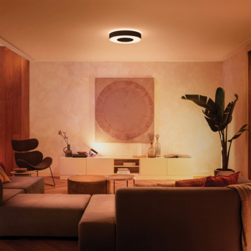 Philips Hue plafondlamp Infuse zwart - wit en gekleurd licht 34W - Ø 38 cm