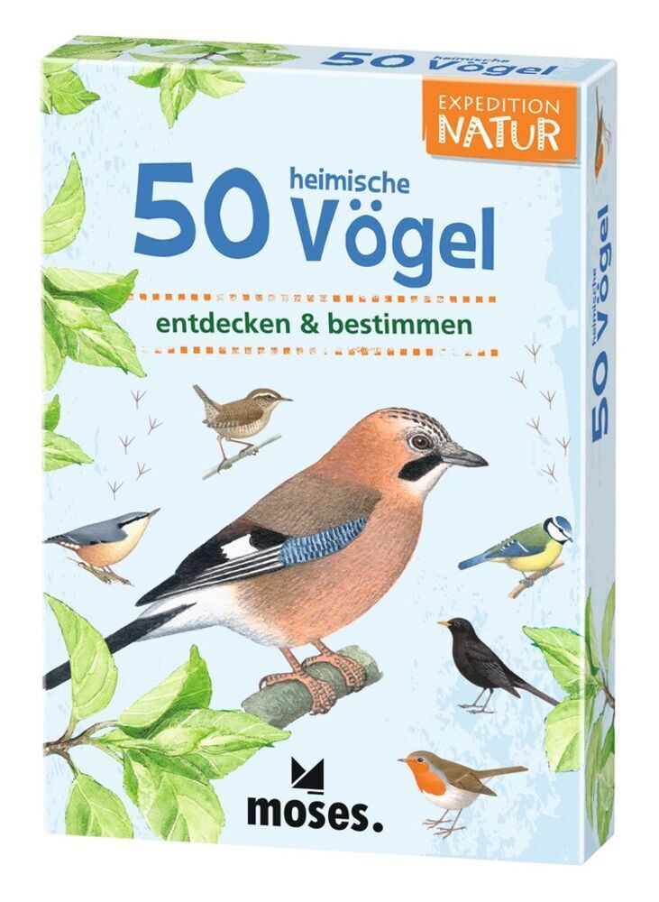 Kartenset 