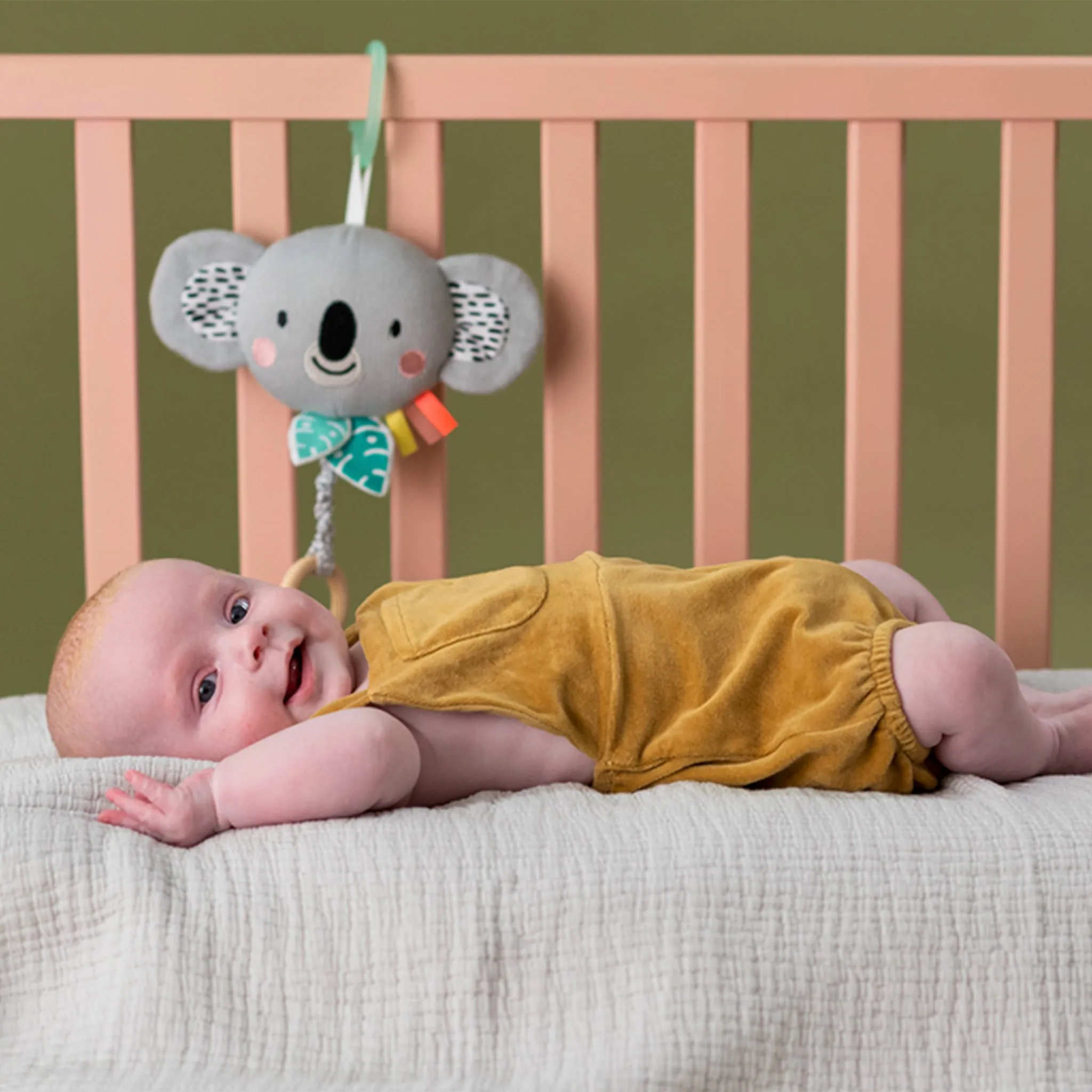 Taf Toy Hochet Musical Kimmy Le Koala