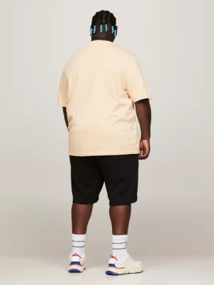 Camiseta clássica Plus Signature Logo