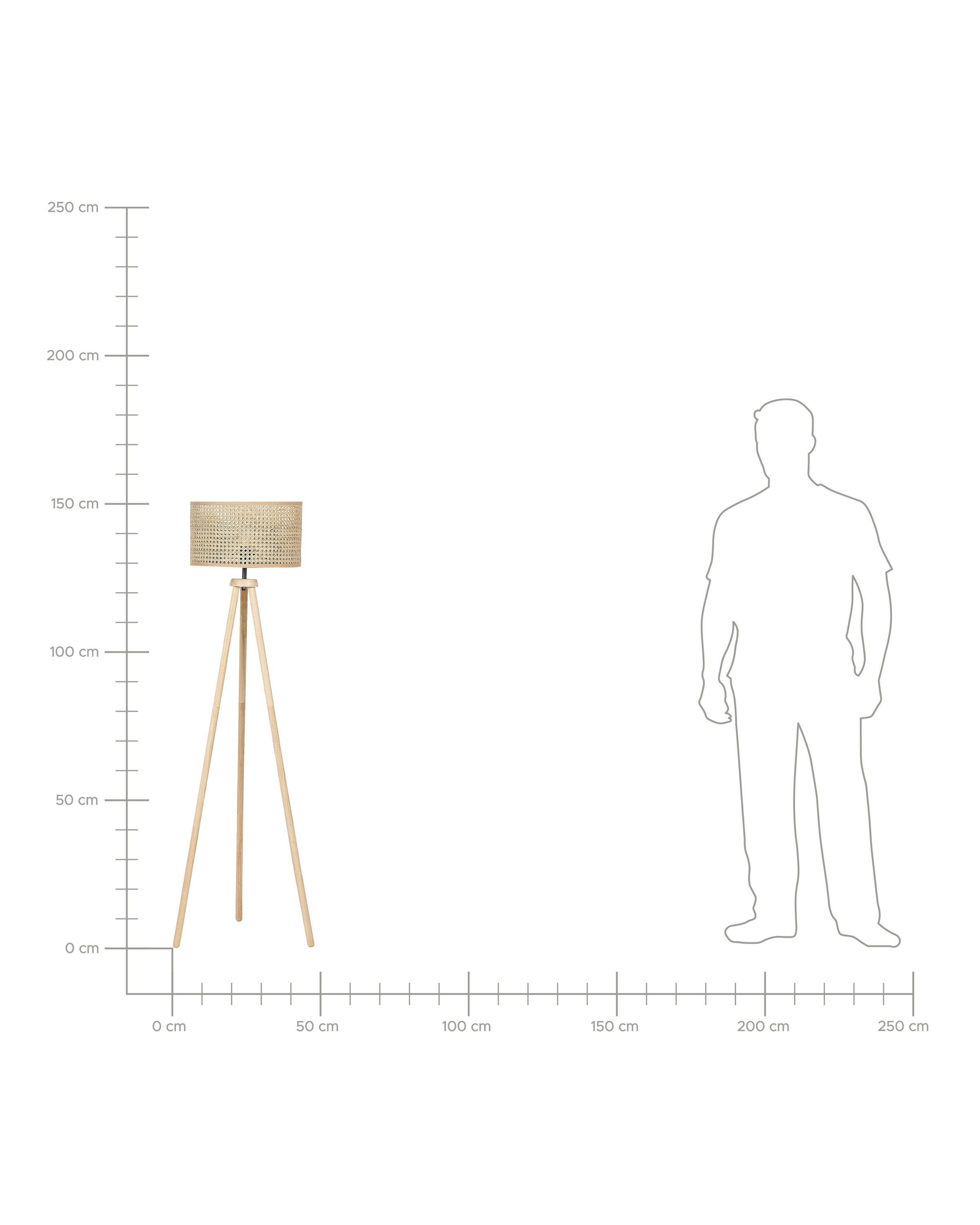 Staande lamp PENTON Rotan Natuurlijk