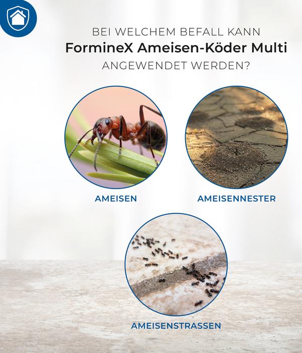 PROTECT HOME FormineX Ameisen-Köder Multi, 3