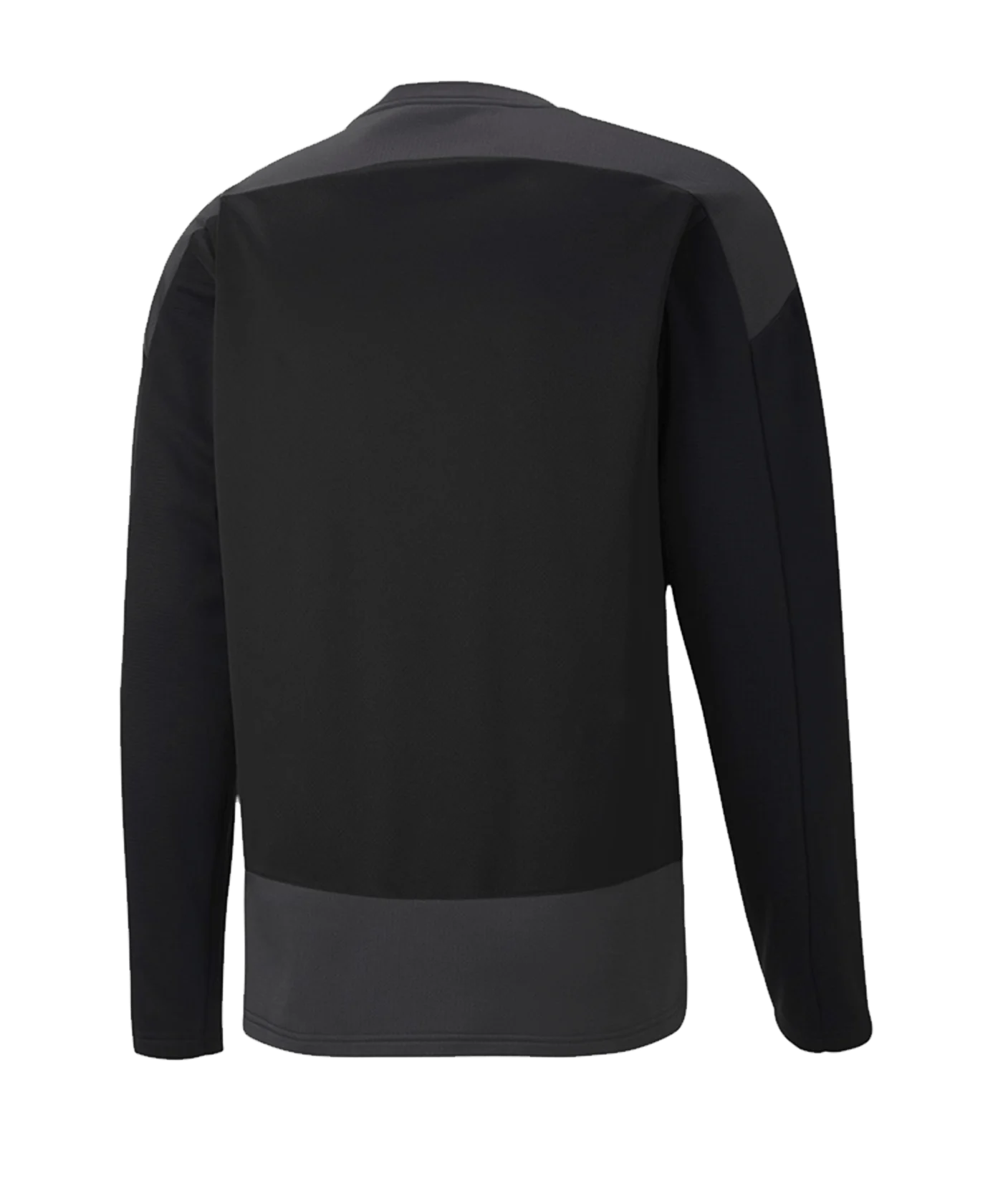 PUMA teamGOAL 23 Training Sweatshirt Schwarz F03